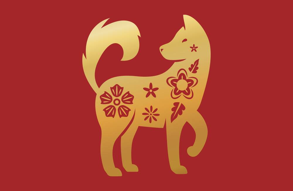 Le chien dans l'astrologie chinoise : signification et personnalité
