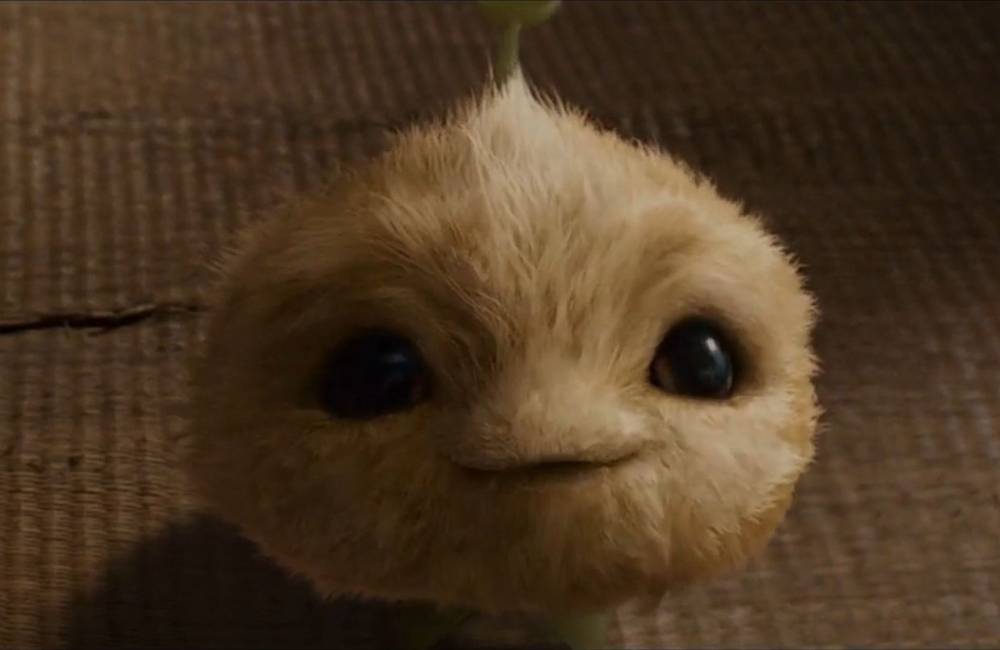 CJ7