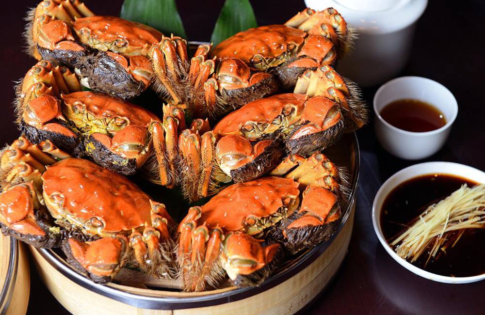 Crabe poilu de Shanghai