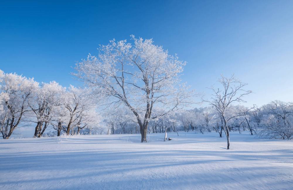  Jilin