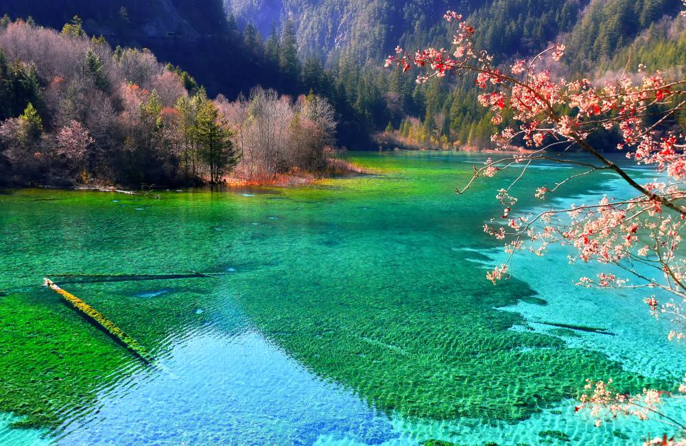 Parc national de Jiuzhaigou