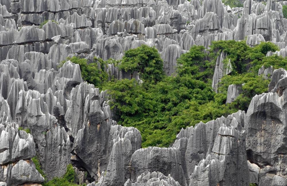 For&ecirc;t de pierres de Shilin &agrave; c&ocirc;t&eacute; de kunming