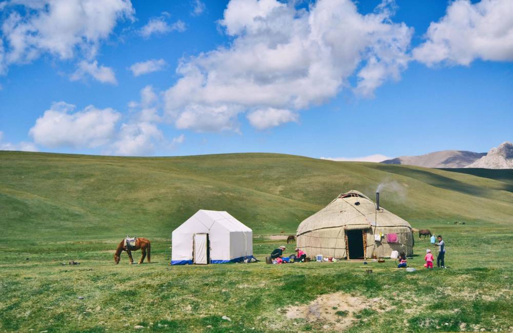 Mongolie int&eacute;rieure, prairie