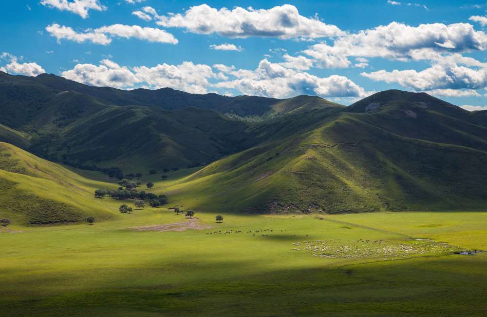 Prairie, paysage, Hulunbuir, Mongolie Int&eacute;rieure