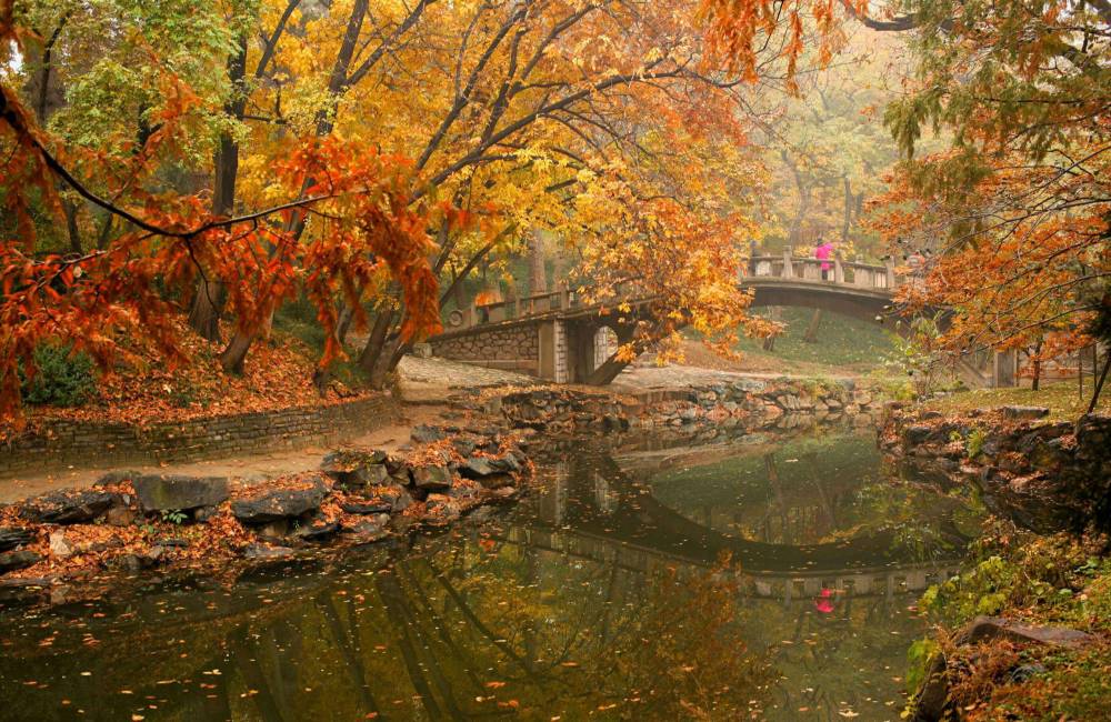 Feuillage d'automne dans un parc de P&eacute;kin