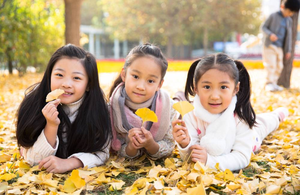 Enfants chinois, ginkgo biloba, pekin
