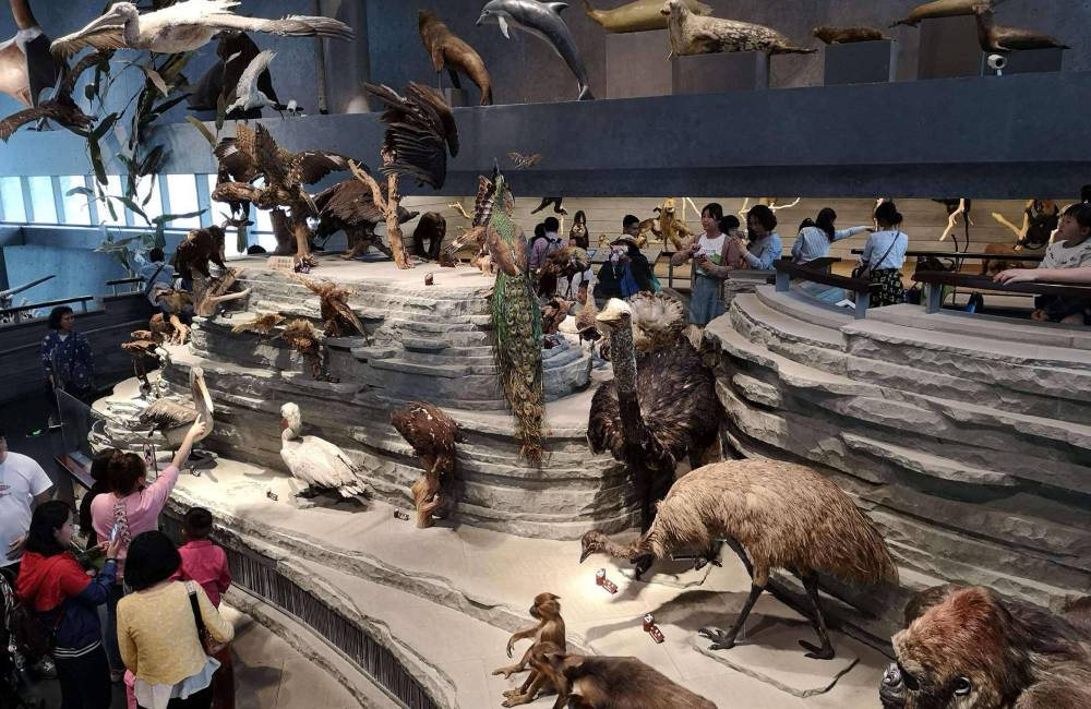 Mus&eacute;e d'histoire naturelle de P&eacute;kin