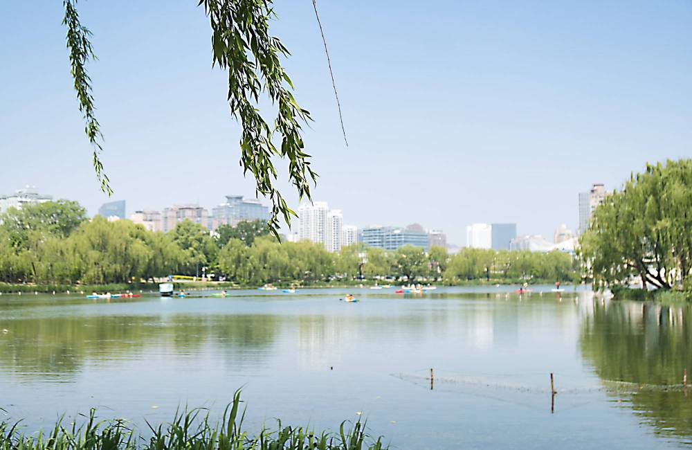 Parc Chaoyang à Pékin