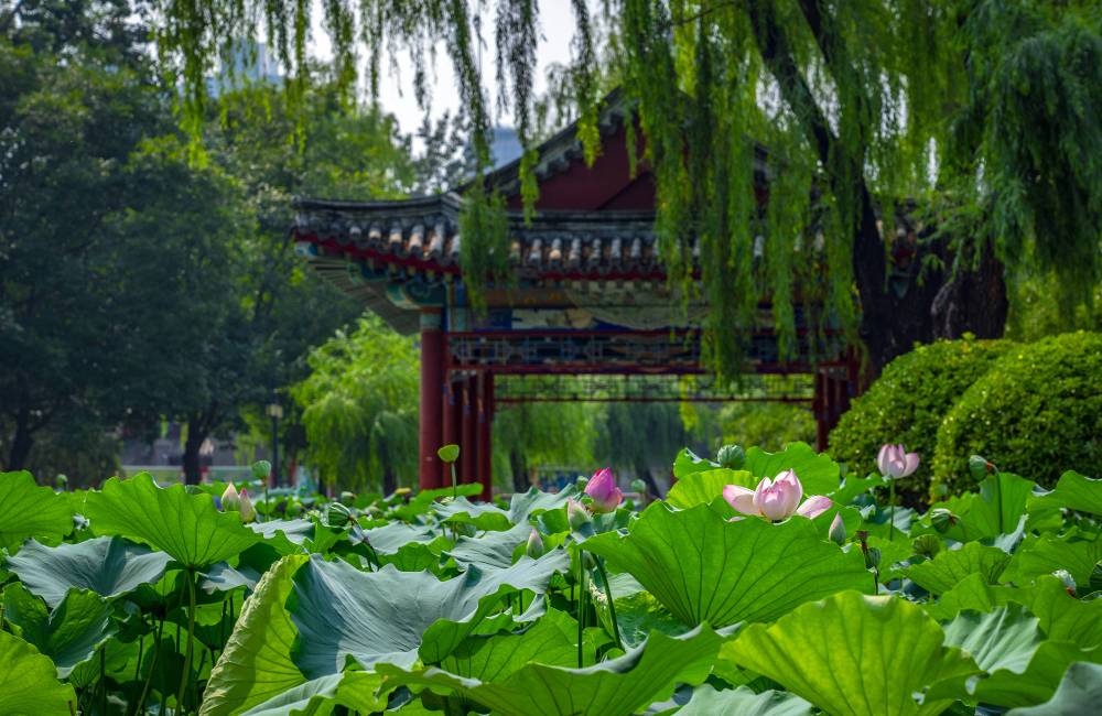 Parc Ritan à Pékin