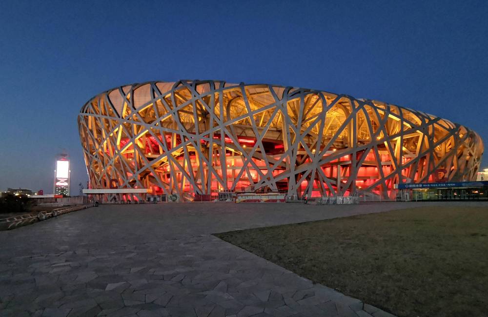 p&eacute;kin, stade national, nid d'oiseau