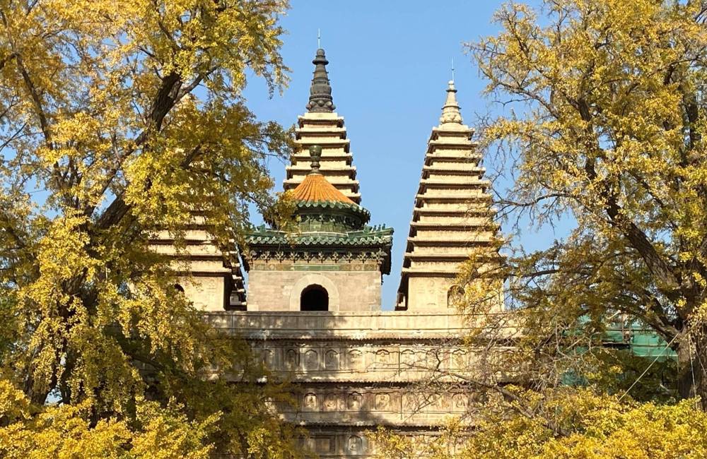 Temple des 5 pagodes à Pékin