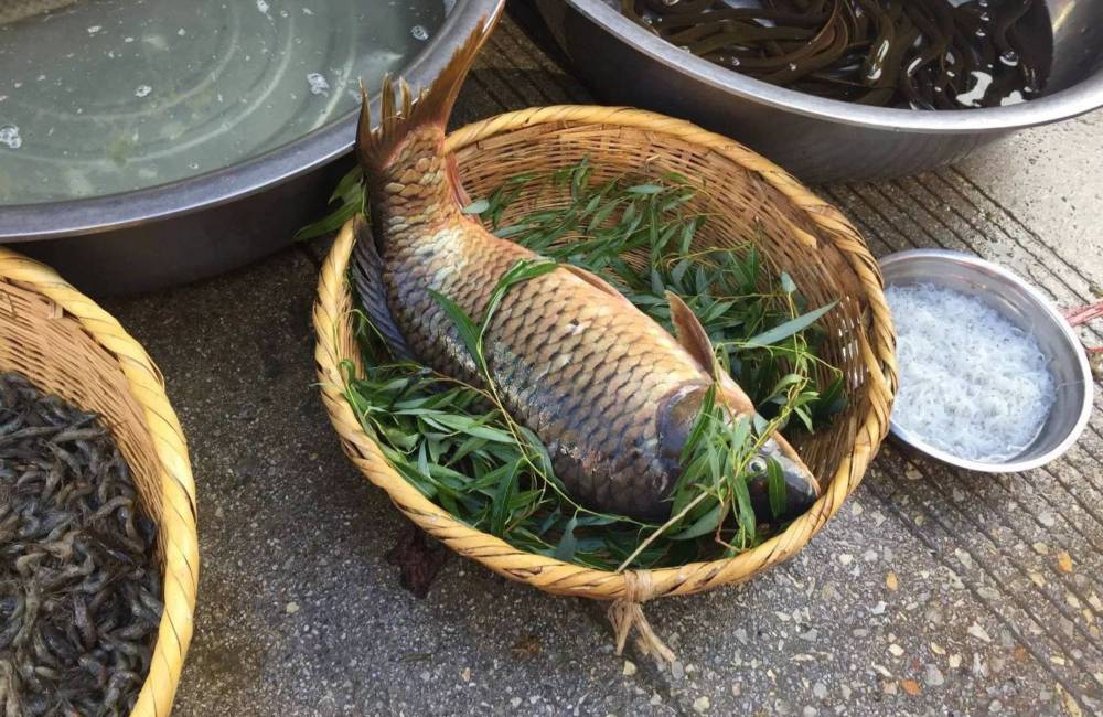 poisson de style Bai