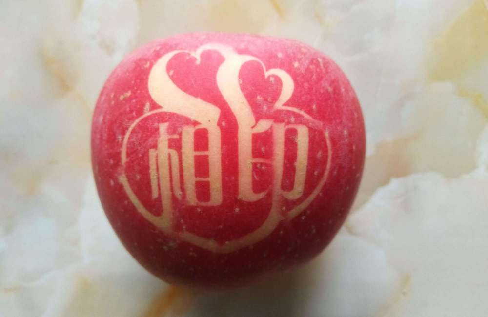 pomme de no&euml;l