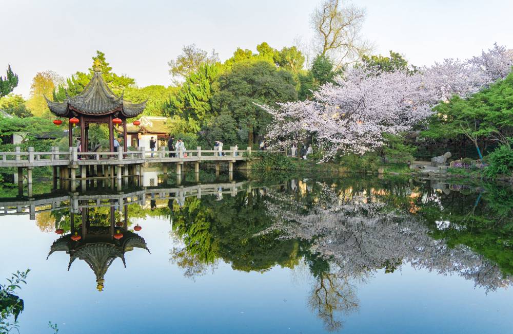 Jardin chinois au printemps