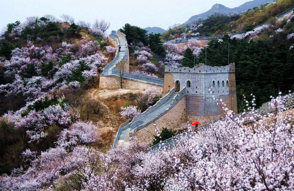 Le printemps en Chine : saison idéale pour découvrir le pays