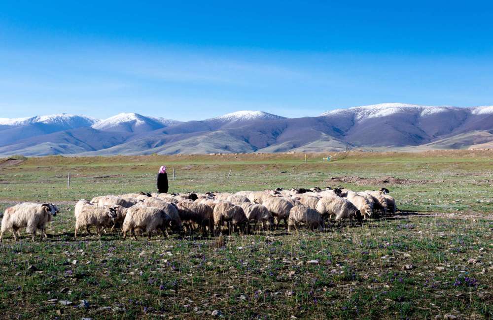 Qinghai, minorit&eacute;s ethniques, tib&eacute;tains