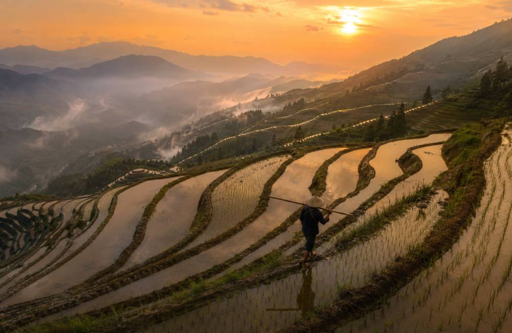 rizi&egrave;res en terrasses de Longji, Guangxi