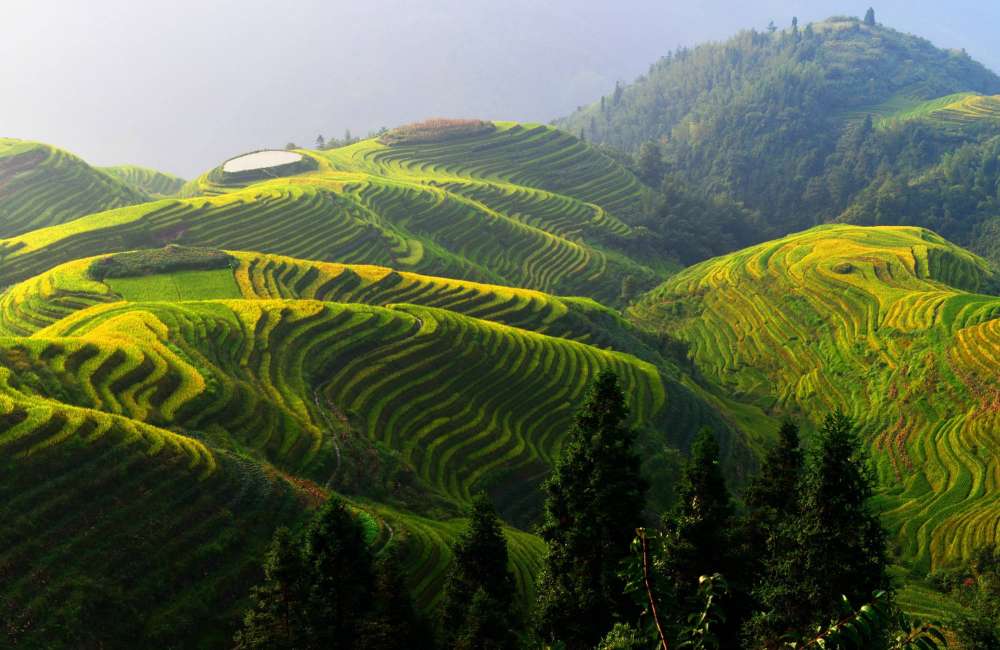 Les 5 plus belles rizières en terrasse de Chine