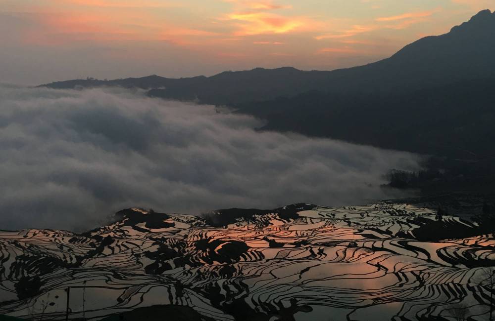 Rizi&egrave;res en terrasse de Yuanyang