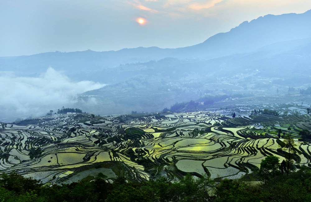 Rizi&egrave;res en terrasses de Yuanyang