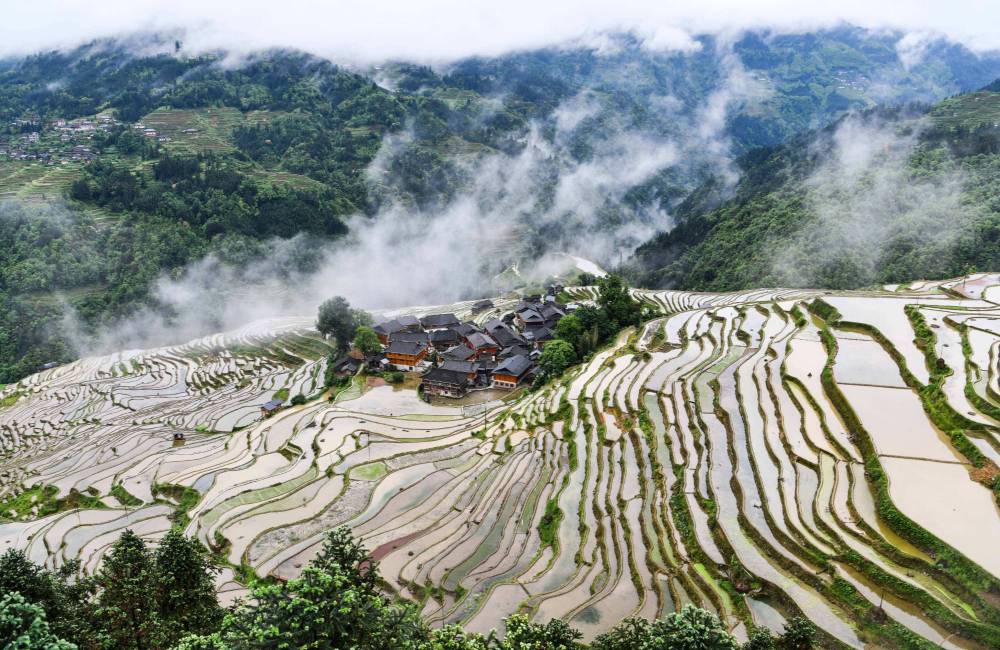 rizi&egrave;re en terrasse de Jiabang, Guizhou, Chine
