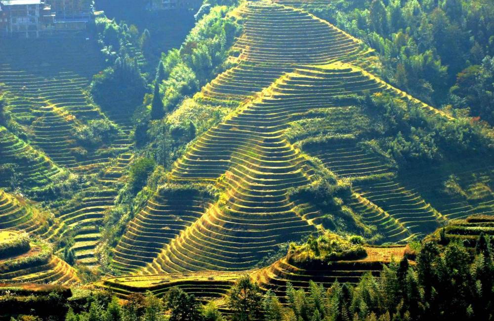 rizi&egrave;re en terrasse de Longji, Guangxi, Chine