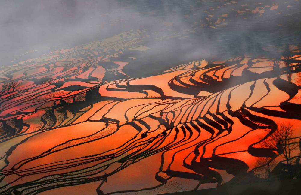 rizi&egrave;re en terrasse de Yuanyang, Yunnan, Chine