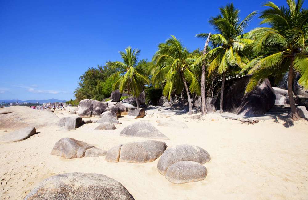 Sanya, Hainan, plage, palmiers