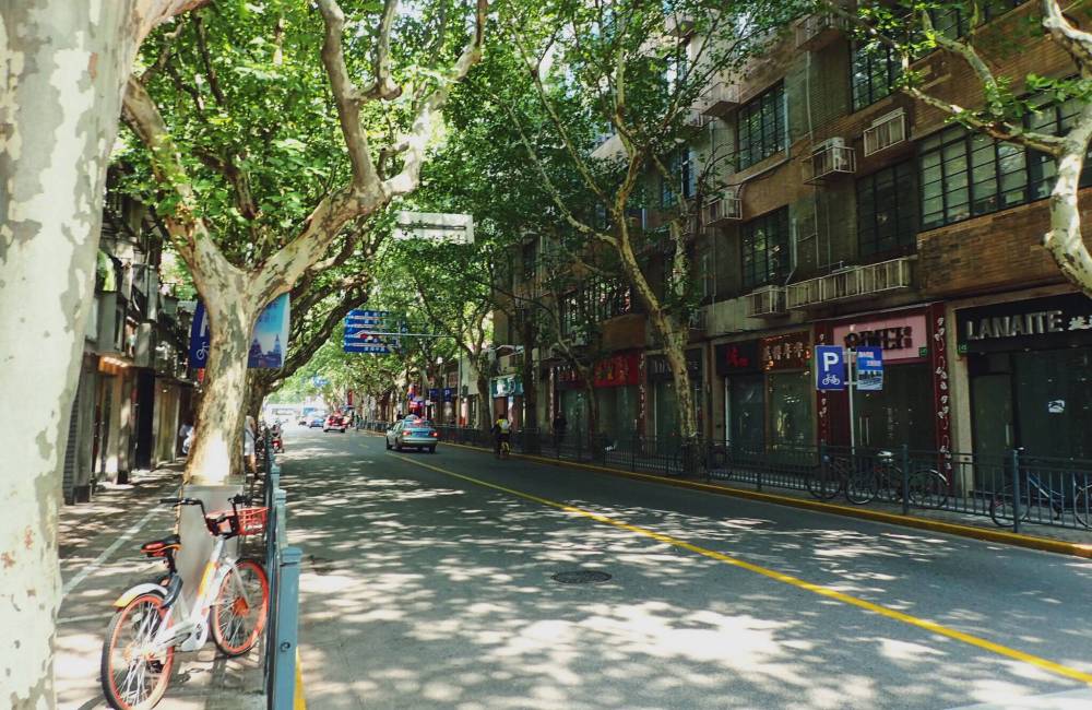 Rues bord&eacute;es de platanes de l'ancienne concession fran&ccedil;aise de Shanghai