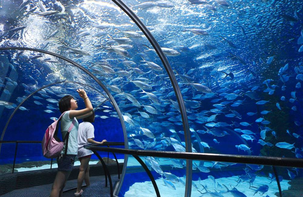 Aquarium océanique de Shanghai, Pudong