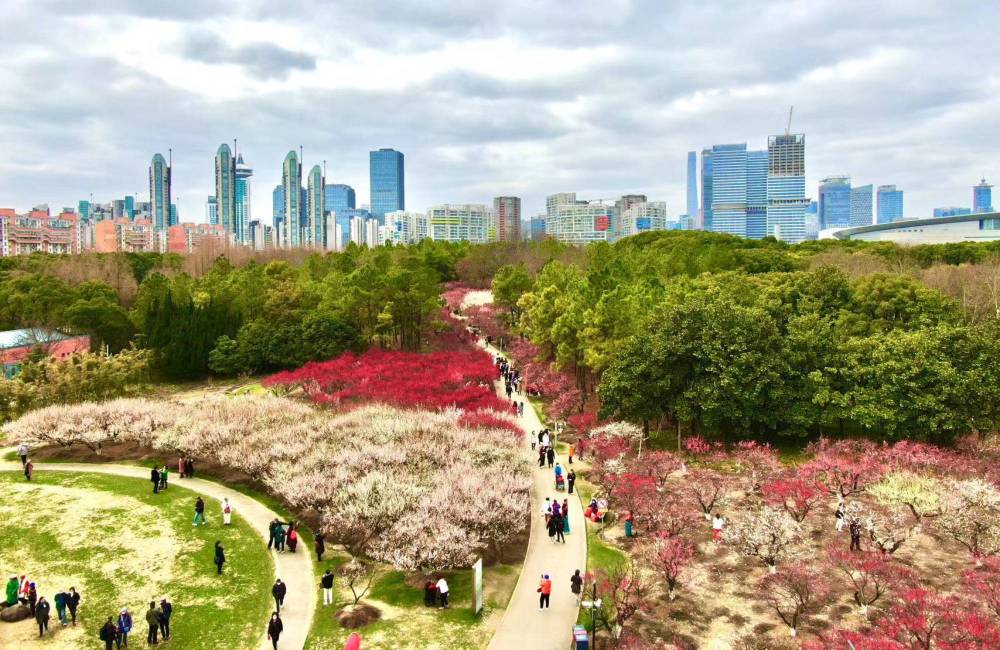 Century Parc au printemps