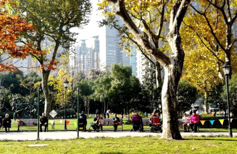 Parc Zhongshan
