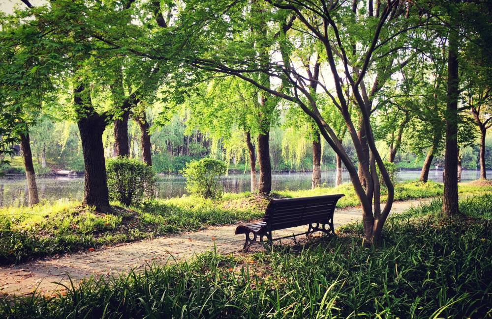 Les 9 plus beaux parcs de Shanghai pour une évasion urbaine