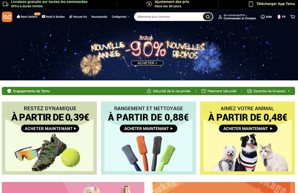 site Temu