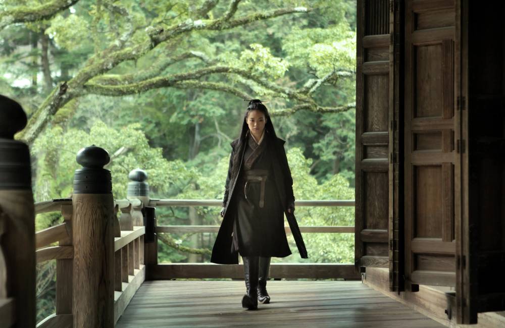 The Assassin