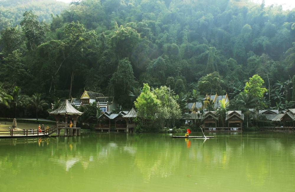 For&ecirc;t tropicale dans le Xishuangbanna