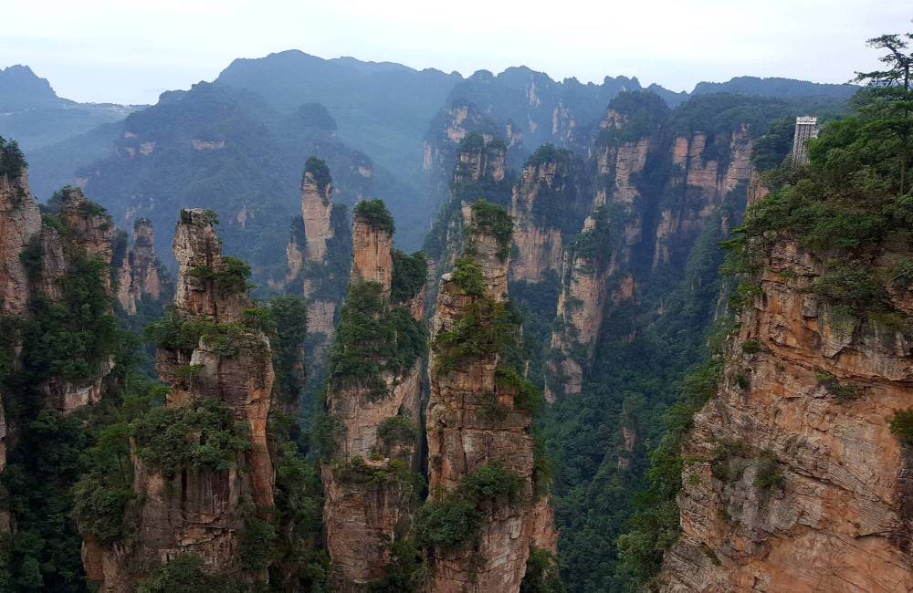 Immenses piliers de granit dans le parc national de Zhangjiajie