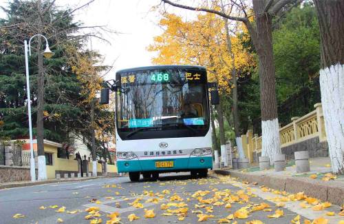 Le bus de ville : pas cher mais peu pratique pour les étrangers