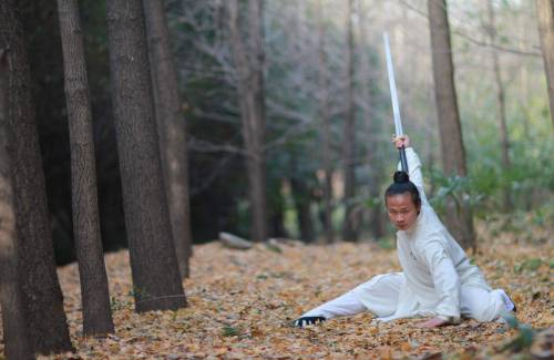 Le kung-fu n'est pas ce que vous croyez