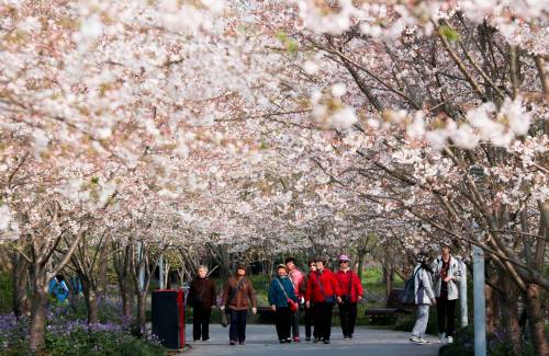 Shanghai au rythme des saisons : ce que chaque période révèle