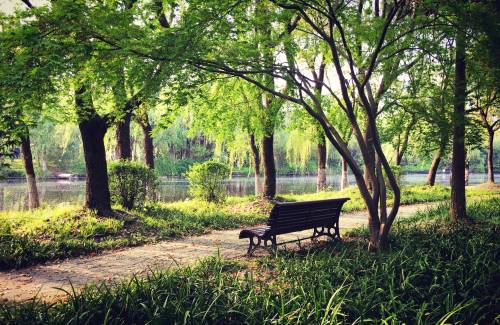 Les 9 parcs incontournables de Shanghai pour une évasion urbaine