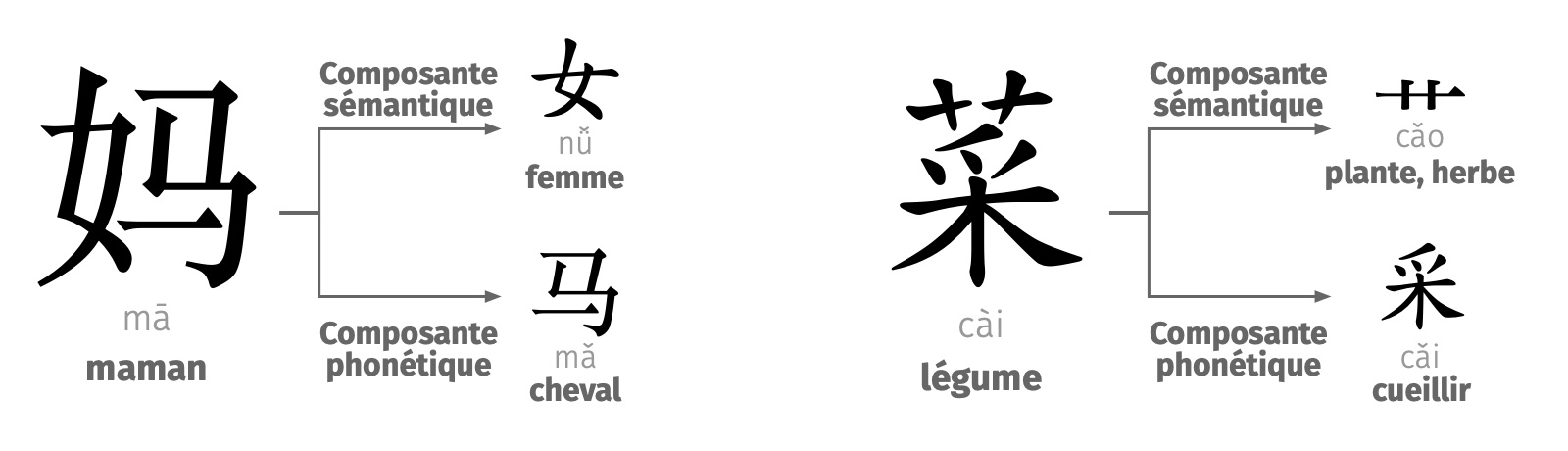 caract&egrave;res chinois maman et l&eacute;gume