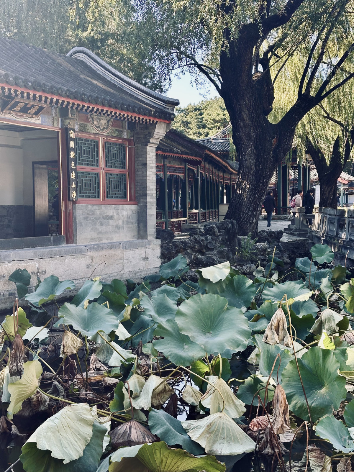Architecture traditionnelle, Palais d&rsquo;&Eacute;t&eacute; de P&eacute;kin, Pavillon chinois, P&eacute;kin