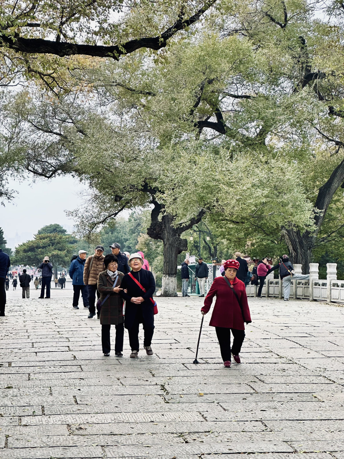 Parc Beiling de Shenyang, Parc et jardin, Shenyang