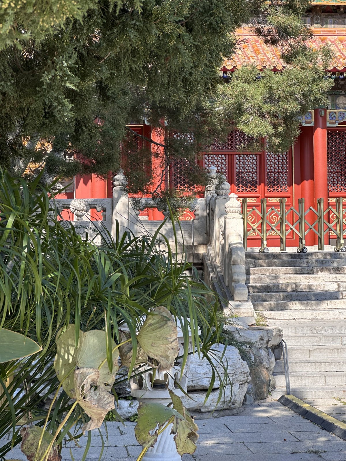 Parc Jingshan, P&eacute;kin