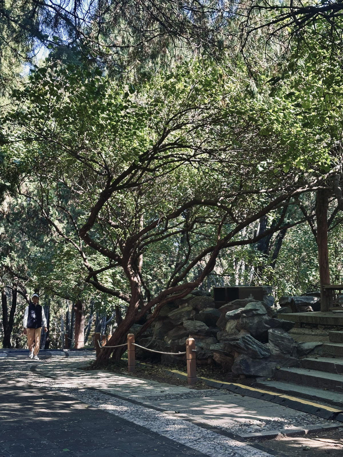 Palais d’Été de Pékin, Parc et jardin, Pékin