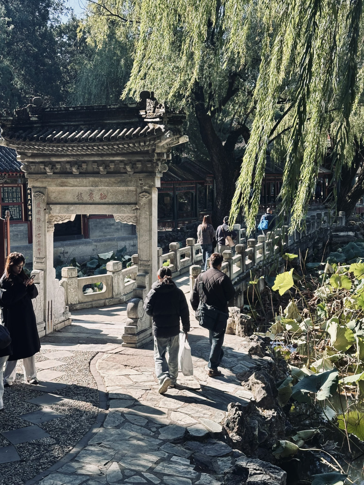 Palais d’Été de Pékin, Parc et jardin, Pékin