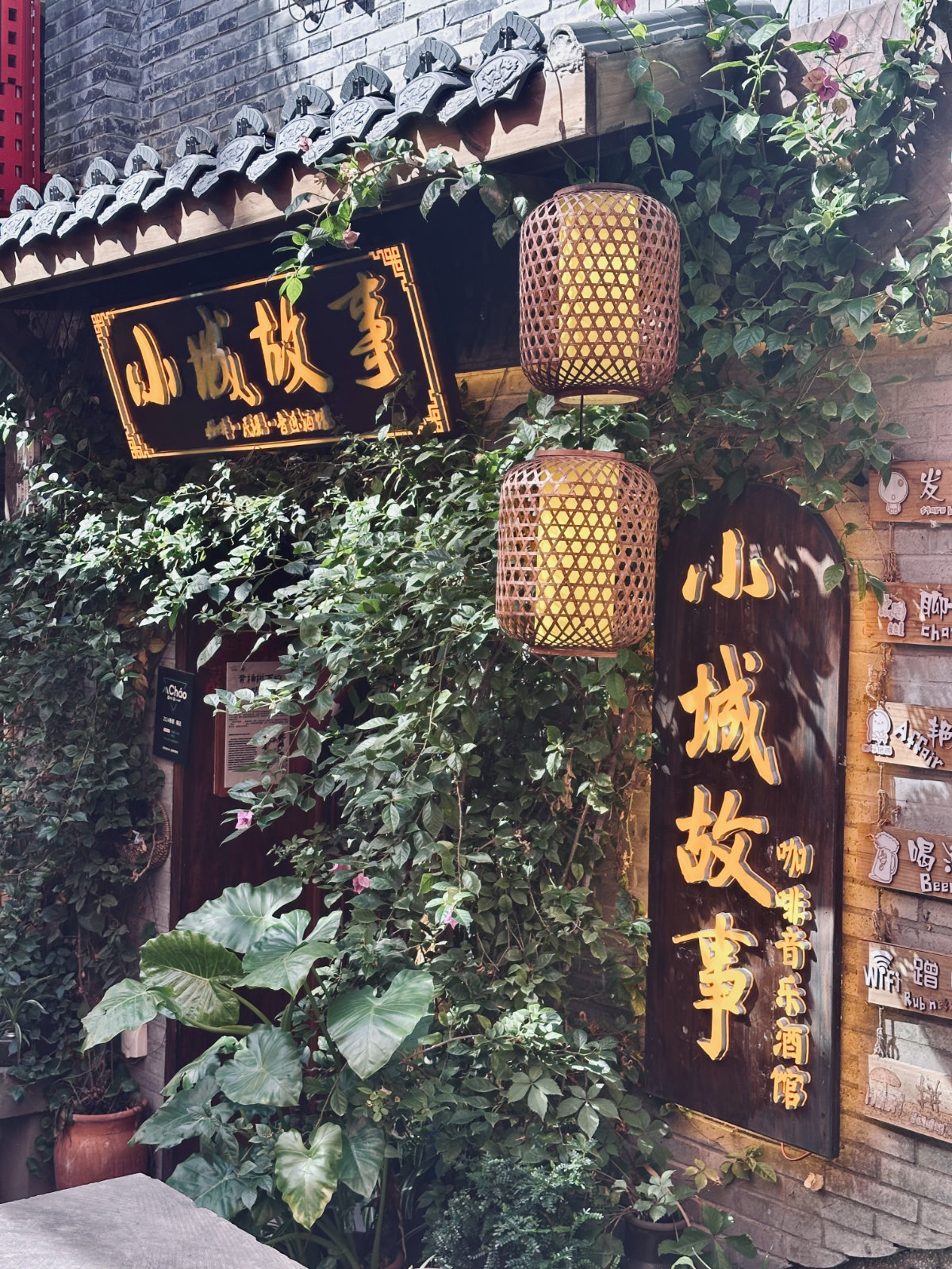 Chongqing, Chongqing Shibati, Ruelle v&eacute;g&eacute;talis&eacute;e