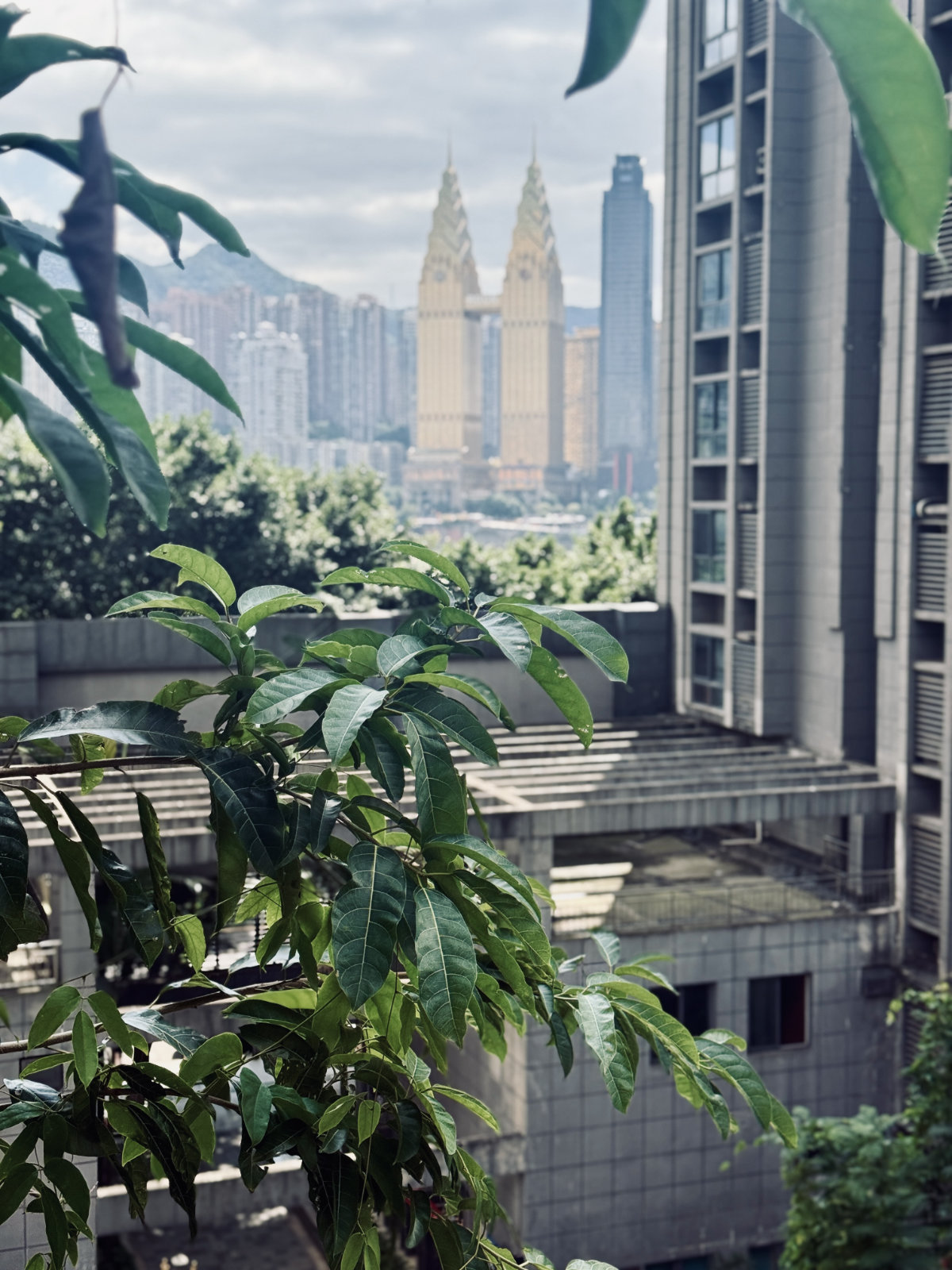 Chongqing, Chongqing Baixiangju, Ville verticale
