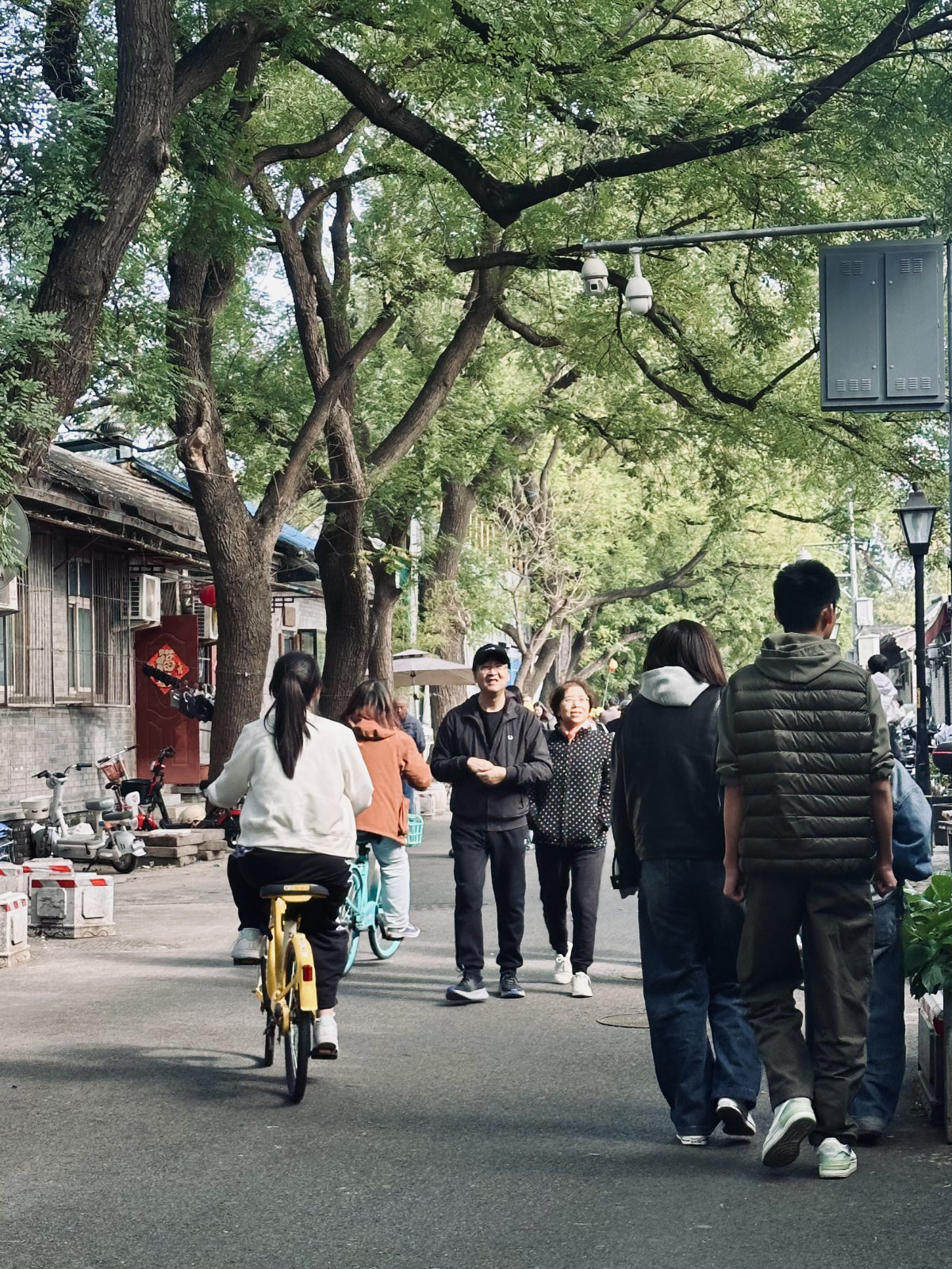 Hutongs de P&eacute;kin, P&eacute;kin, Ruelle v&eacute;g&eacute;talis&eacute;e, Sc&egrave;ne de rue